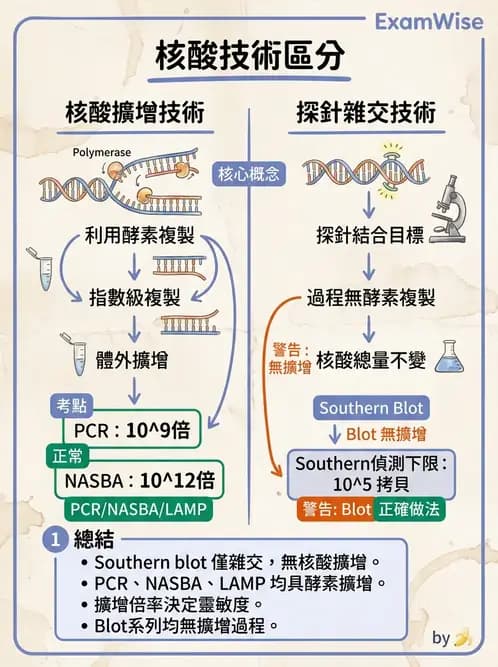 醫檢師 - 核酸擴增與萃取技術 - AI 圖文解析預覽