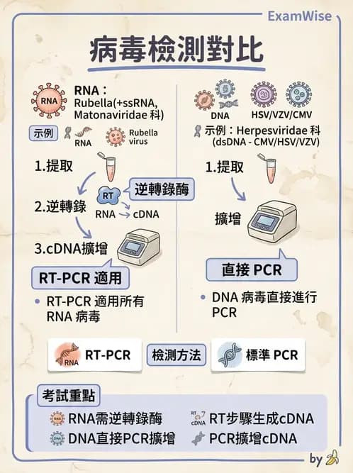 醫檢師 - 感染症分子檢驗 - AI 圖文解析預覽