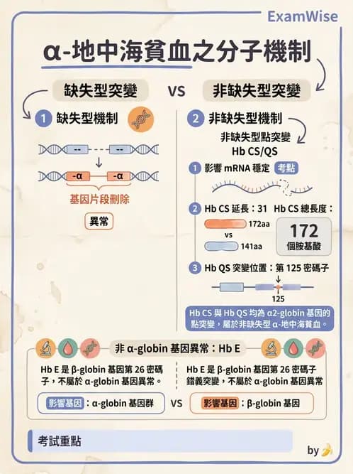 醫檢師 - 遺傳疾病基因檢測 - AI 圖文解析預覽