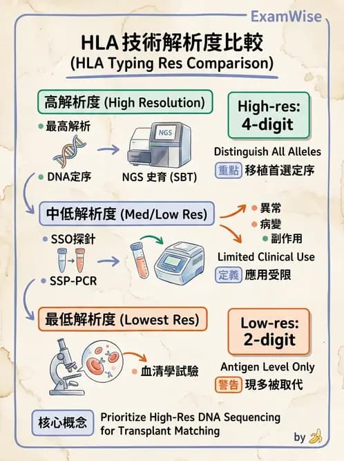 醫檢師 - 分子鑑定與應用技術 - AI 圖文解析預覽