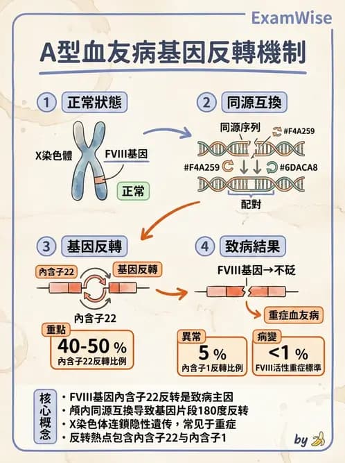 醫檢師 - 遺傳疾病基因檢測 - AI 圖文解析預覽
