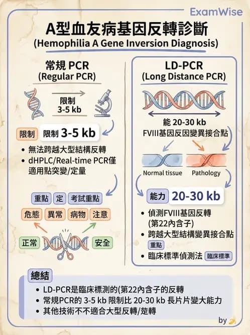醫檢師 - 遺傳疾病基因檢測 - AI 圖文解析預覽