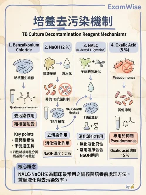 醫檢師 - 分枝桿菌 - AI 圖文解析預覽