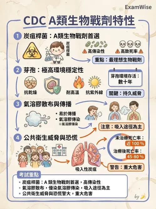 醫檢師 - 鏈球菌與其他革蘭氏陽性桿菌 - AI 圖文解析預覽
