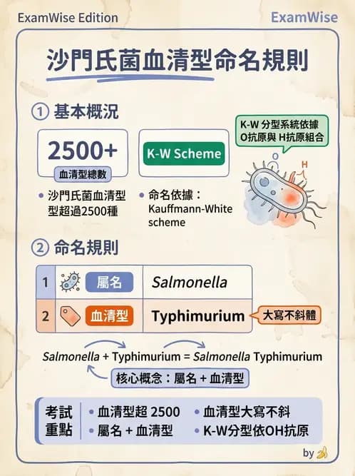 醫檢師 - 主要腸道致病菌 - AI 圖文解析預覽