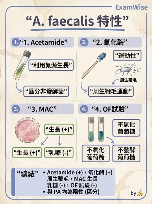 醫檢師 - 非發酵菌 - AI 圖文解析預覽