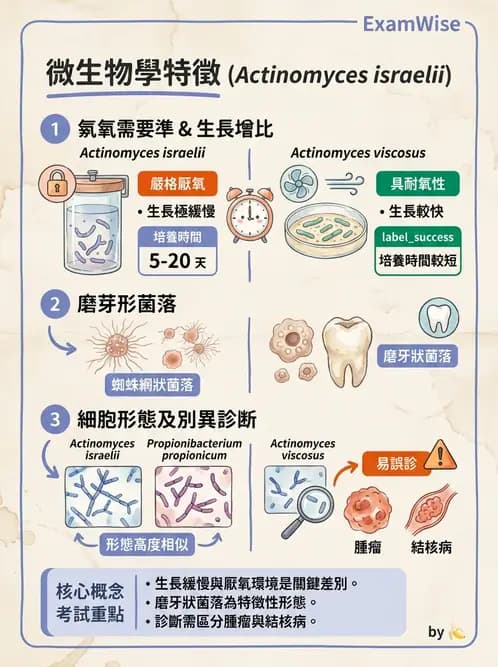 醫檢師 - 厭氧菌 - AI 圖文解析預覽
