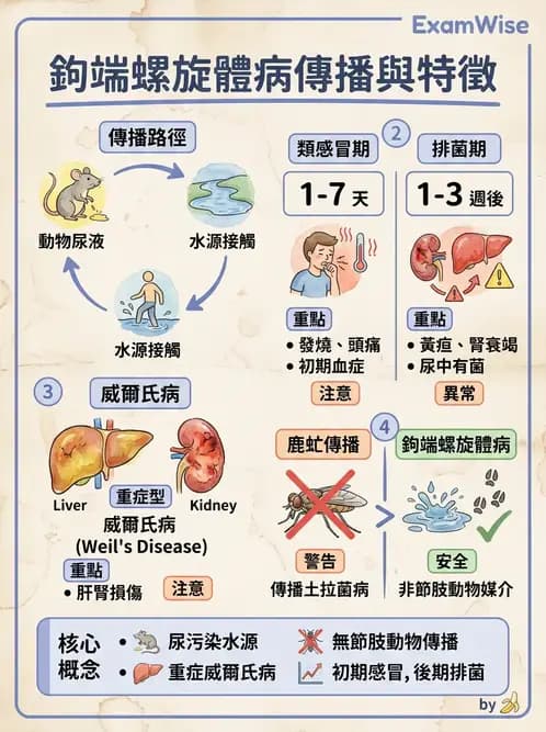 醫檢師 - 特殊病原體 - AI 圖文解析預覽