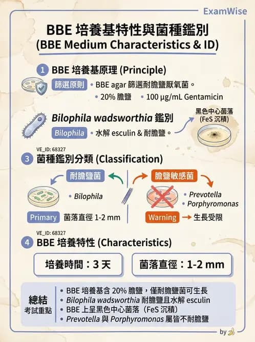 醫檢師 - 厭氧菌 - AI 圖文解析預覽