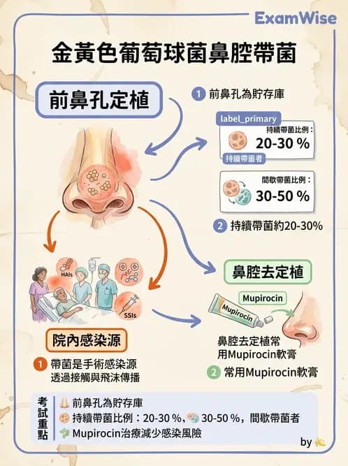 醫檢師 - 感染症與院內感染 - AI 圖文解析預覽