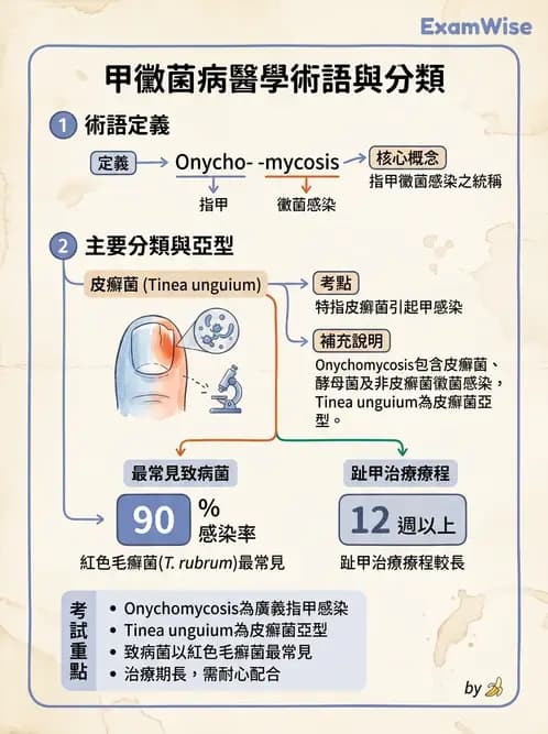 醫檢師 - 皮膚與皮下真菌感染 - AI 圖文解析預覽