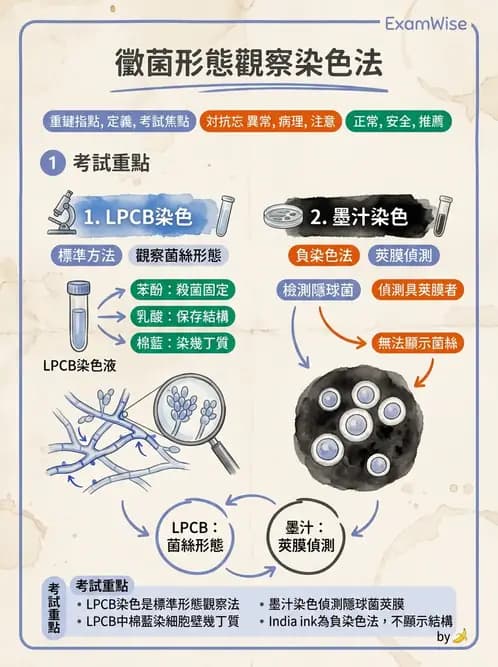 醫檢師 - 真菌診斷與治療 - AI 圖文解析預覽