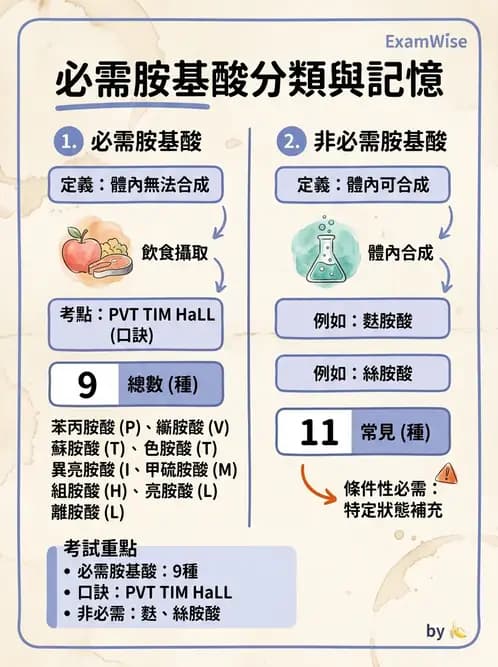 醫檢師 - 胺基酸代謝與先天性疾病 - AI 圖文解析預覽