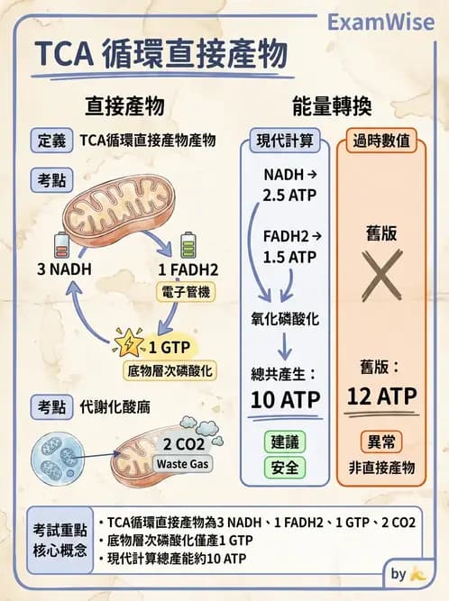 醫檢師 - 基本概念與儀器分析 - AI 圖文解析預覽