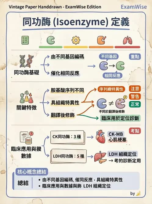醫檢師 - 臨床酵素學基礎 - AI 圖文解析預覽