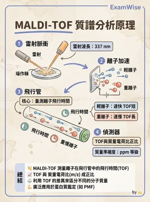 醫檢師 - 基本概念與儀器分析 - AI 圖文解析預覽