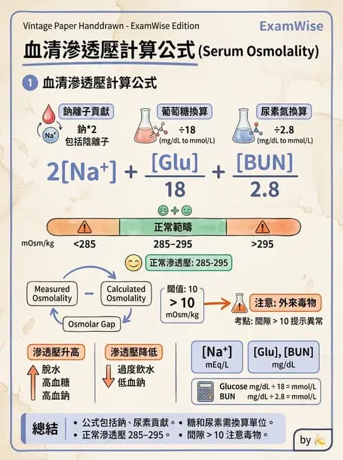 醫檢師 - 電解質與微量元素 - AI 圖文解析預覽