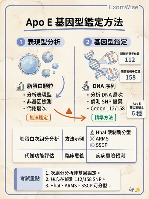 醫檢師 - 脂蛋白分類與臨床應用 - AI 圖文解析預覽