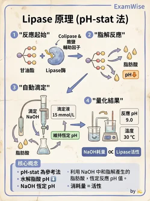 醫檢師 - 肝臟機能與胰臟酵素 - AI 圖文解析預覽