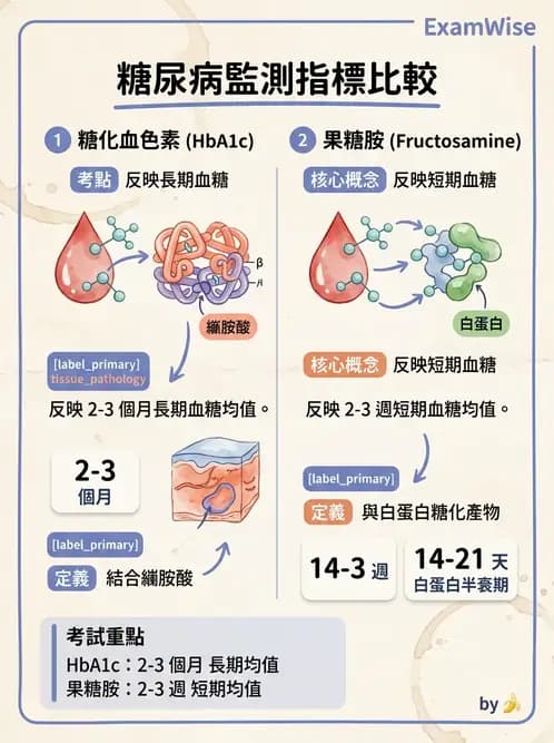 醫檢師 - 醣類代謝與糖尿病 - AI 圖文解析預覽