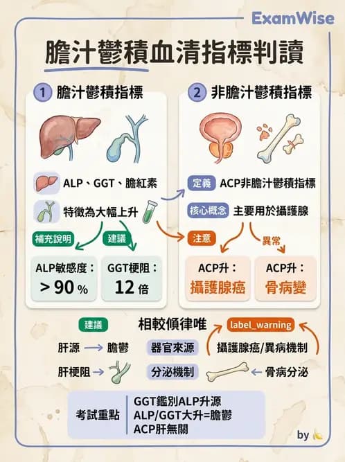 醫檢師 - 肝臟機能與胰臟酵素 - AI 圖文解析預覽