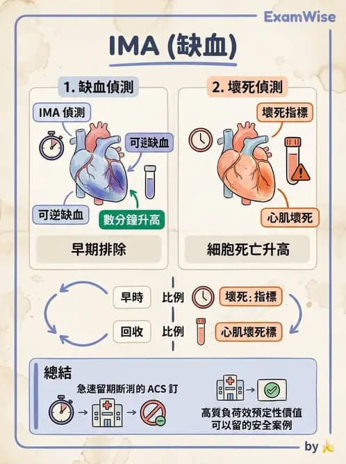 醫檢師 - 心肌標誌與心臟診斷 - AI 圖文解析預覽