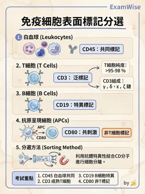 醫檢師 - 實驗室測試免疫法 - AI 圖文解析預覽