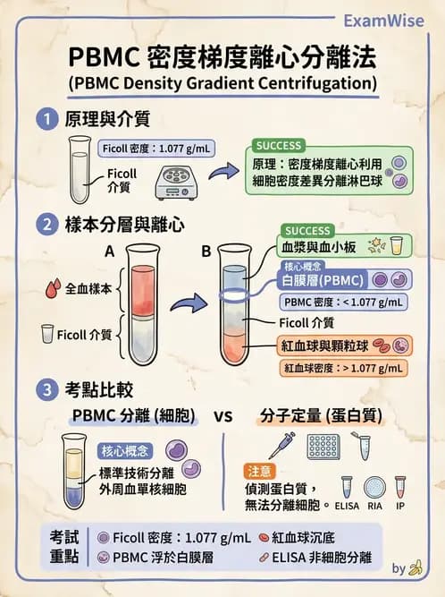 醫檢師 - 實驗室測試免疫法 - AI 圖文解析預覽