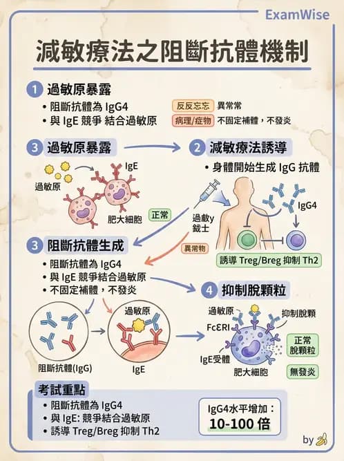 醫檢師 - 過敏反應及測試法 - AI 圖文解析預覽