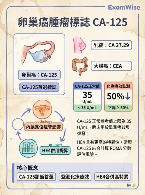醫檢師 - 腫瘤免疫學免疫療法及疫苗 - AI 圖文解析預覽