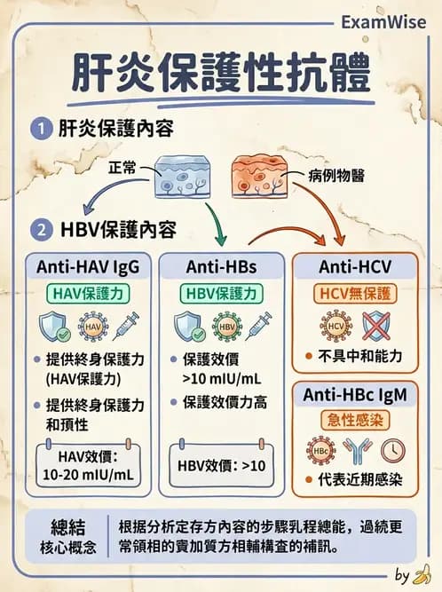 醫檢師 - 急性發炎蛋白與微生物感染血清學 - AI 圖文解析預覽