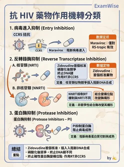 醫檢師 - 反轉錄病毒(HIV/HTLV) - AI 圖文解析預覽