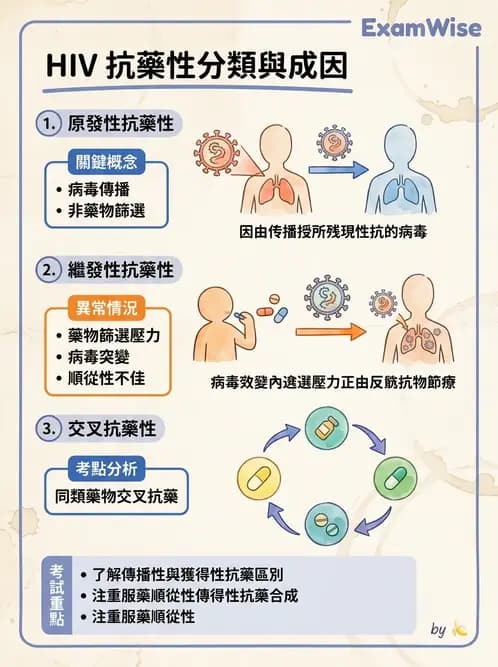 醫檢師 - 反轉錄病毒(HIV/HTLV) - AI 圖文解析預覽