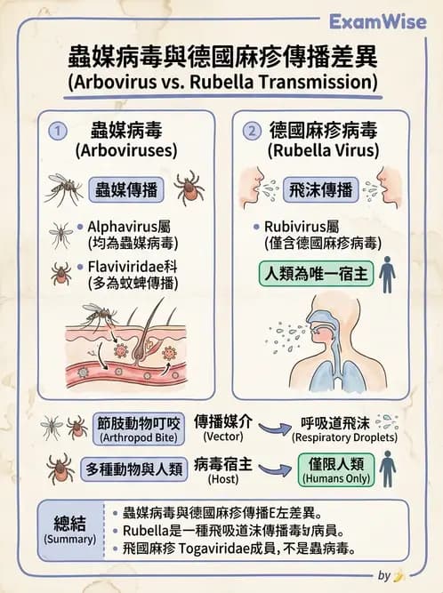 醫檢師 - 其他RNA病毒 - AI 圖文解析預覽