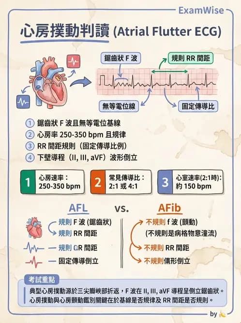 醫檢師 - 心律不整判讀 - AI 圖文解析預覽