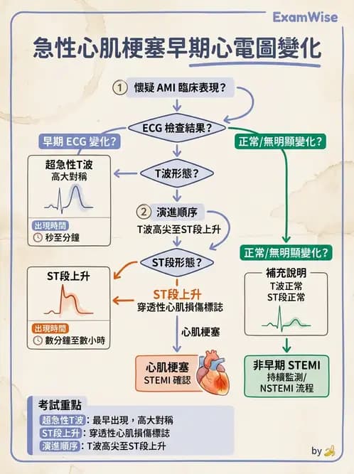 醫檢師 - 心肌病變與特殊心電圖 - AI 圖文解析預覽