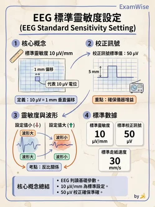 醫檢師 - 腦電圖檢查 - AI 圖文解析預覽