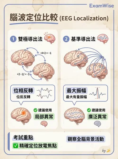 醫檢師 - 腦電圖檢查 - AI 圖文解析預覽