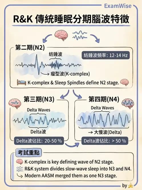 醫檢師 - 神經肌肉與睡眠檢查 - AI 圖文解析預覽