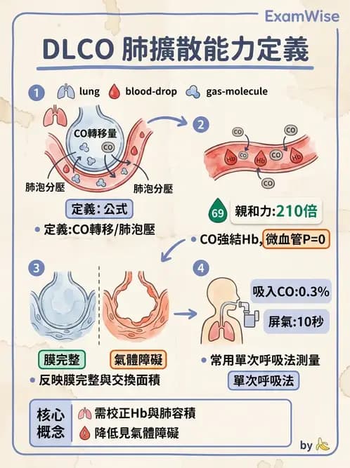 醫檢師 - 肺功能判讀與氣體交換 - AI 圖文解析預覽