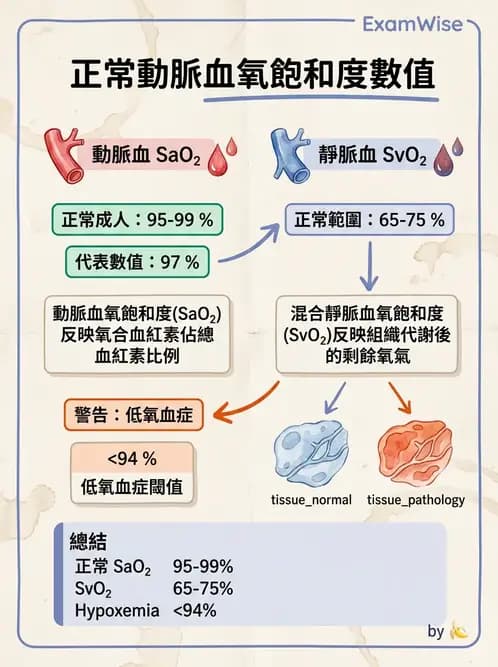 醫檢師 - 血液氣體分析 - AI 圖文解析預覽