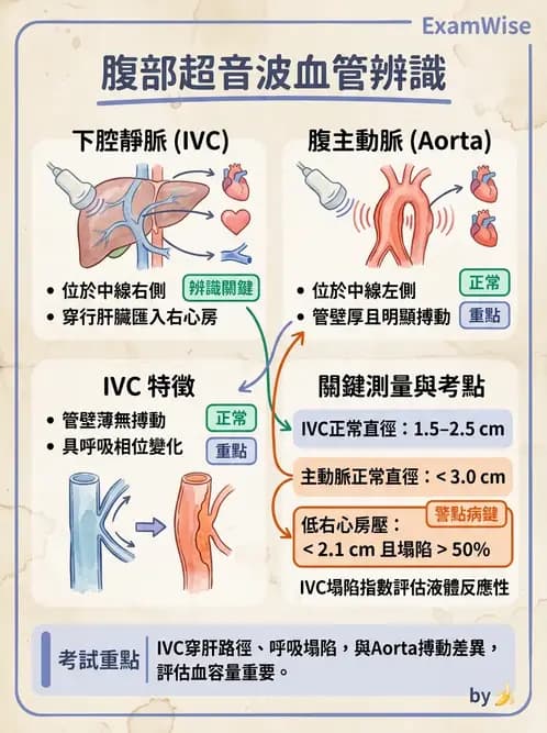 醫檢師 - 超音波檢查 - AI 圖文解析預覽