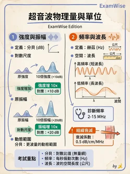 醫檢師 - 超音波檢查 - AI 圖文解析預覽