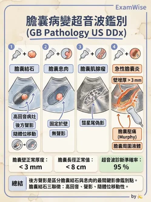 醫檢師 - 超音波檢查 - AI 圖文解析預覽