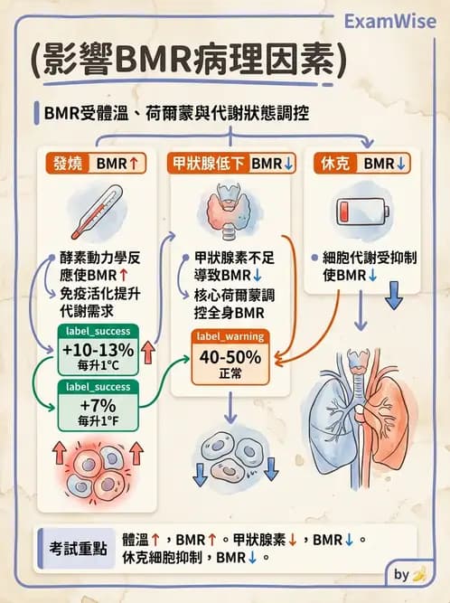 醫檢師 - 綜合性試題 - AI 圖文解析預覽