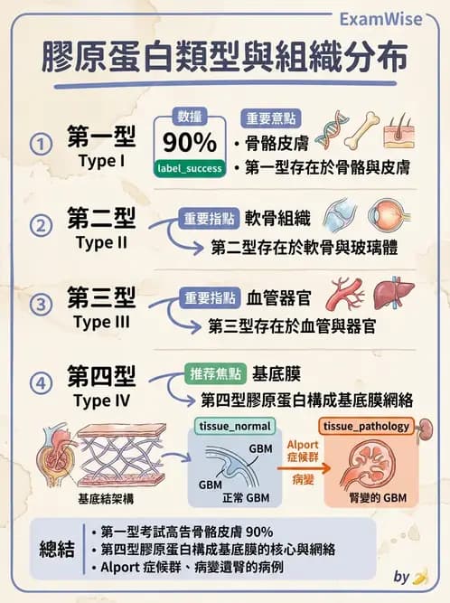 醫檢師 - 細胞傷害、發炎與修復 - AI 圖文解析預覽
