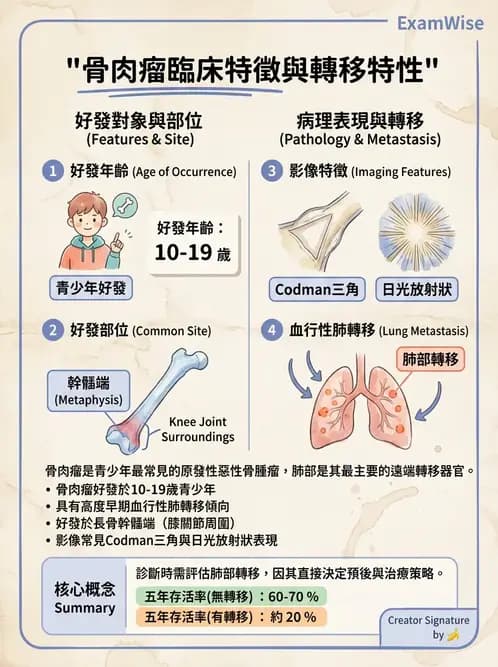 醫檢師 - 骨骼及軟組織疾病 - AI 圖文解析預覽