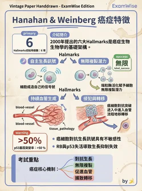 醫檢師 - 腫瘤概論 - AI 圖文解析預覽
