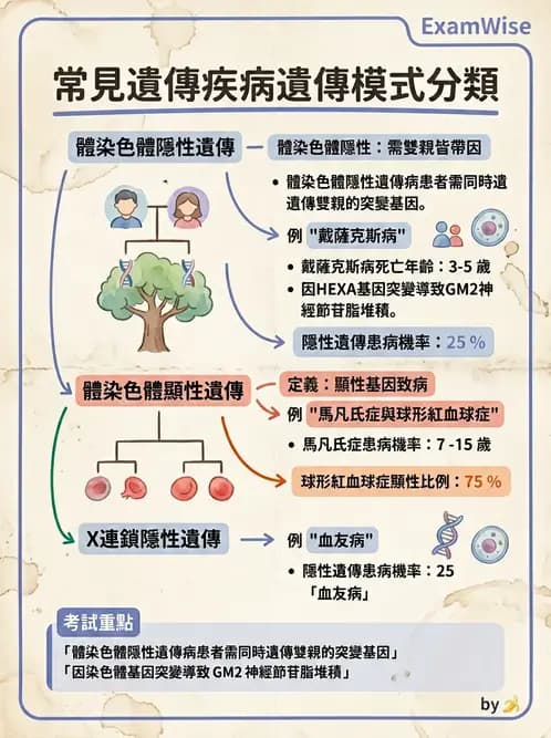 醫檢師 - 遺傳和發育疾病 - AI 圖文解析預覽