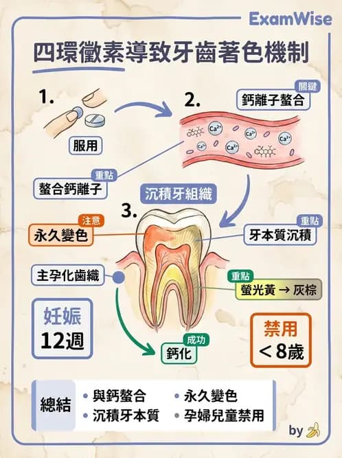 醫檢師 - 物理和化學傷害及營養疾病 - AI 圖文解析預覽
